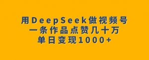 用DeepSeek做视频号,一条作品点赞几十万,单日变现1k-吾爱网创
