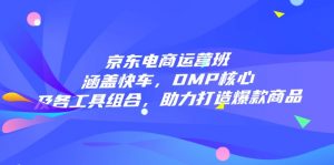 京东电商运营班：涵盖快车，DMP核心及各工具组合，助力打造爆款商品-吾爱网创