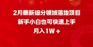2月最新细分领域落地项目，新手小白也可快速上手，月入1W-吾爱网创