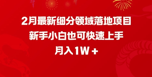 2月最新细分领域落地项目，新手小白也可快速上手，月入1W-吾爱网创