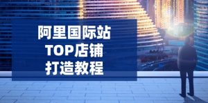 阿里国际站TOP店铺打造教程：涵盖平台到高阶，解决运营难题，提升询盘-吾爱网创