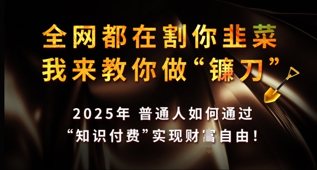 全网都在割你韭菜，我来教你做镰刀，2025年普通人如何通过 知识付费 实现财F自由【揭秘】-吾爱网创