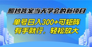 照抄答案当天学会的新项目,单号日入300 +可矩阵,有手就行,轻松放大-吾爱网创