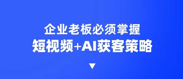 企业短视频AI获客霸屏流量课,6步短视频+AI突围法,3大霸屏抢客策略-吾爱网创