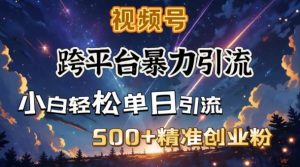 跨平台暴力引流，私域完美闭环，日引500+精准创业粉-吾爱网创
