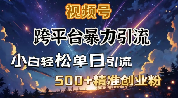 跨平台暴力引流，私域完美闭环，日引500+精准创业粉-吾爱网创