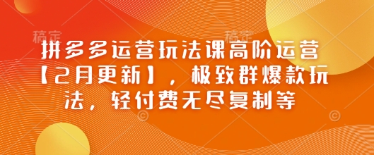 拼多多运营玩法课高阶运营【2月更新】,极致群爆款玩法,轻付费无尽复制等-吾爱网创