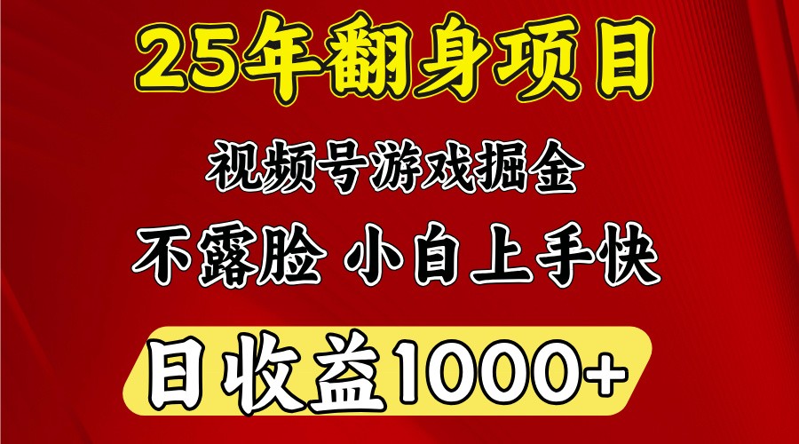 一天收益1000+ 25年开年落地好项目-吾爱网创