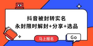 抖音被封转实名攻略,永久封禁也能限时解封,分享解封后高效选品技巧-吾爱网创