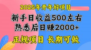 2025开年好项目，单号日收益2000左右-吾爱网创