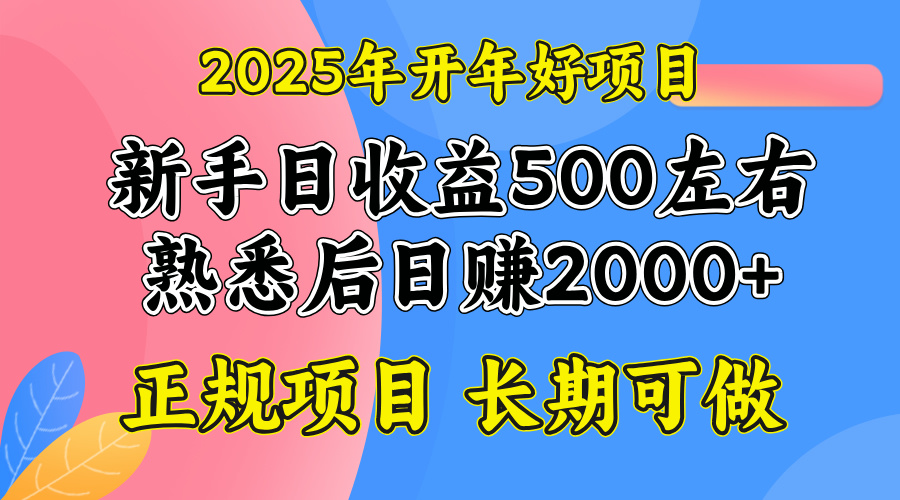 2025开年好项目，单号日收益2000左右-吾爱网创