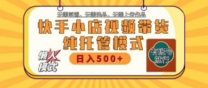 快手小店托管代运营 全程无需操作 二八分成 月入5000+-吾爱网创
