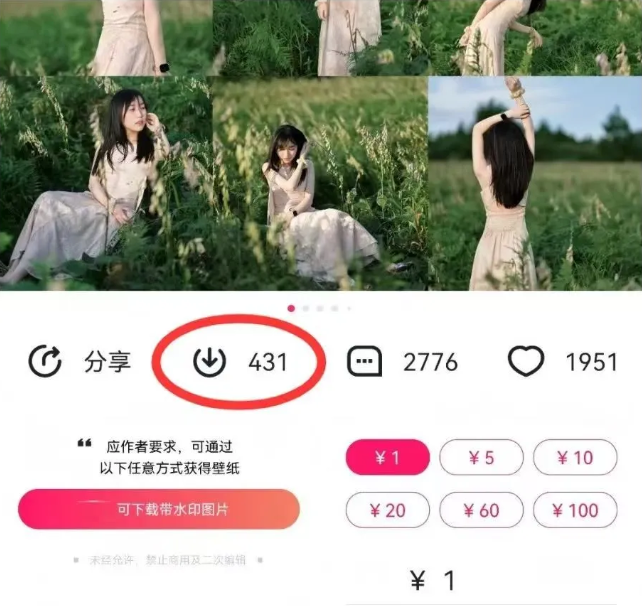 最新图虫搬运项目，收益无上限，利用AI小白也可日赚500+-吾爱网创