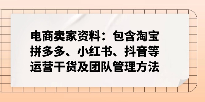 电商卖家资料：包含淘宝、拼多多、小红书、抖音等运营干货及团队管理方法-吾爱网创
