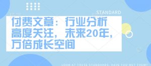 付费文章:行业分析 高度关注,未来20年,万倍成长空间-吾爱网创