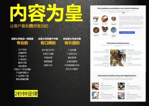 刘老师·外贸询盘增长秘籍从0到1的实战指南-吾爱网创