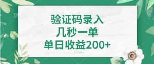 验证码录入，几秒一单，单日收益200+-吾爱网创