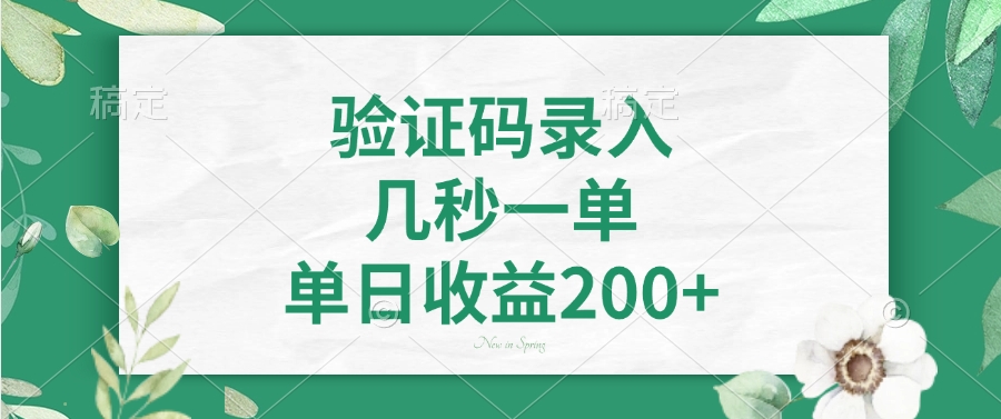 验证码录入，几秒一单，单日收益200+-吾爱网创