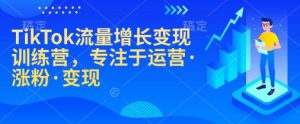 TikTok流量增长变现训练营，专注于运营·涨粉·变现-吾爱网创