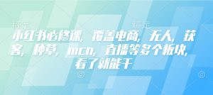 小红书必修课，覆盖电商，无人，获客，种草，mcn，直播等多个板块，看了就能干-吾爱网创