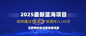 2025最新蓝海项目，零门槛轻松复制，月入10万+，新手也能操作！-吾爱网创