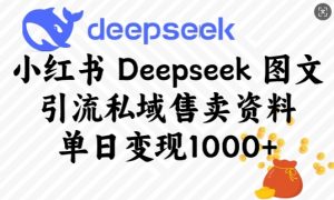 小红书Deepseek图文引流私域售卖资料,单日变现多张-吾爱网创