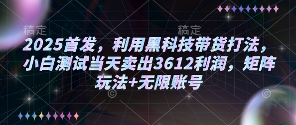 2025首发，利用黑科技带货打法，小白测试当天卖出3612利润，矩阵玩法+无限账号【揭秘】-吾爱网创