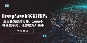 DeepSeek实战技巧：集合最强使用攻略，1000个神级提示词，让你成为AI高手-吾爱网创
