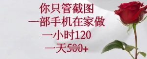 你只管截图，一部手机在家做，一小时120.一天5张【揭秘】-吾爱网创