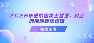 2025年进阶金牌主播课,抖音的推流算法逻辑-吾爱网创