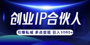 云帆·创业ip合伙人打造3.0，从0到1教你做网创，实现月入过W-吾爱网创
