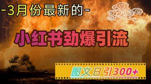 小红书超劲爆引流手段，图文日引300+轻松变现1W-吾爱网创