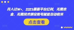 月入过W+，2025最新平台红利，无需本金、无需技术绑定账号就能自动收米-吾爱网创