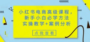小红书电商高级课程,新手小白必学方法,实操教学+案例分析-吾爱网创