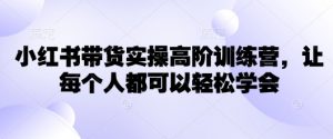 小红书带货实操高阶训练营，让每个人都可以轻松学会-吾爱网创
