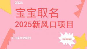 2025新风口项目宝宝取名，0成本高利润，附保姆级教程，月入过万不是梦-吾爱网创