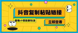 零撸小项目,新玩法,抖音复制链接0.07一条,20秒一条,无限制。-吾爱网创