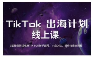TikTok跨境电商新手起号与运营全攻略，0基础做跨境电商TIKTOK新手起号，小店入驻，操作指南全流程-吾爱网创