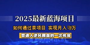 2025蓝海项目，普通人如何通过卖项目，实现月入过W，全过程【揭秘】-吾爱网创