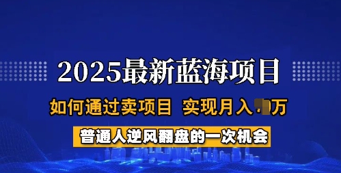 2025蓝海项目，普通人如何通过卖项目，实现月入过W，全过程【揭秘】-吾爱网创