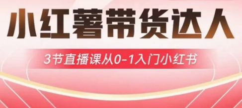 小红薯达人带货启航计划，3节直播课从0-1入门小红书-吾爱网创