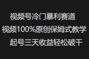 视频号冷门暴利赛道视频100%原创保姆式教学起号三天收益轻松破千-吾爱网创