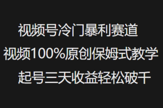 视频号冷门暴利赛道视频100%原创保姆式教学起号三天收益轻松破千-吾爱网创