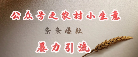 deepseek写农村小项目,条条爆款,暴力引流-吾爱网创