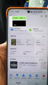 抖音暴力涨粉技术:一天轻松1-10万粉,技术不确定真实性,自测-吾爱网创