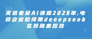 天诺老吴AI课程2025年，电商企业如何用deeepseek实现降本提效-吾爱网创