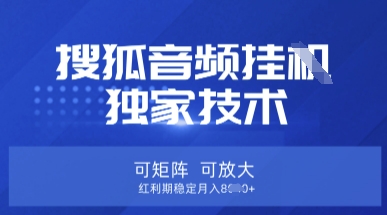 【搜狐音频挂G】独家技术,可矩阵可放大,红利期稳定月入8k【揭秘】-吾爱网创