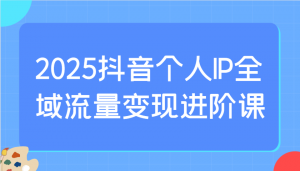 2025抖音个人IP全域流量变现进阶课:选爆品、抖音付费投流、千川投流实操及优化等-吾爱网创