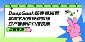DeepSeek获客特训营：掌握不出镜视频制作，日产百条IP口播视频-吾爱网创
