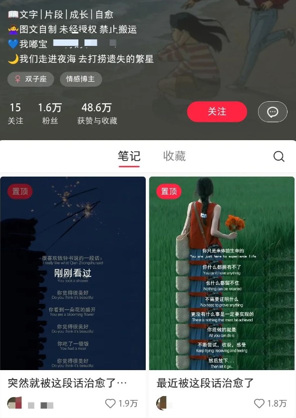 小红书治愈文案图文笔记,零门槛,一分钟制作轻松制作爆款作品月入万元-吾爱网创